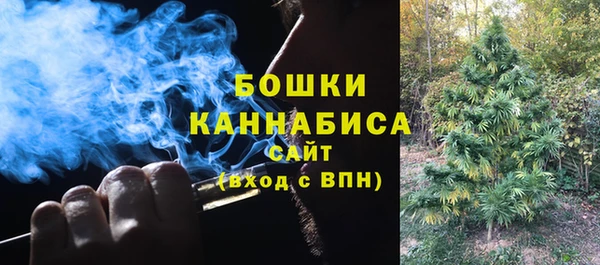 мет Арсеньев